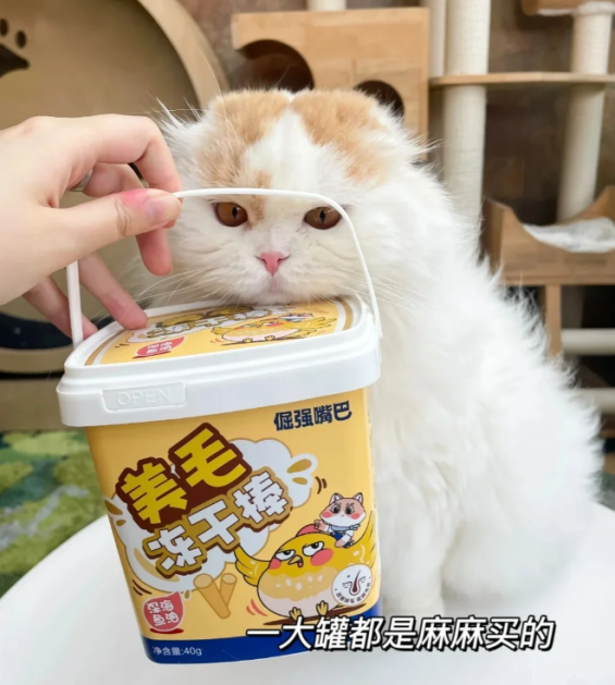 欧洲杯买球：猫粮品牌怎么选？尝尝释怀猫粮倔强嘴巴